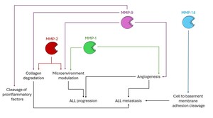 Figure from article: The role of matrix...
