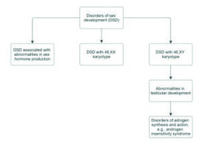 Figure from article: Complete androgen...