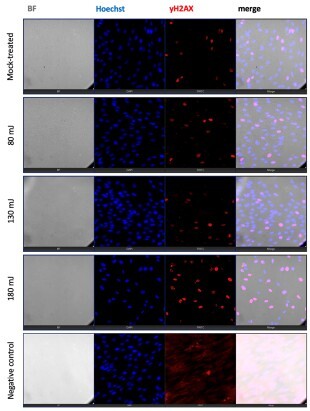 Figure from article: Dose-dependent effects of...